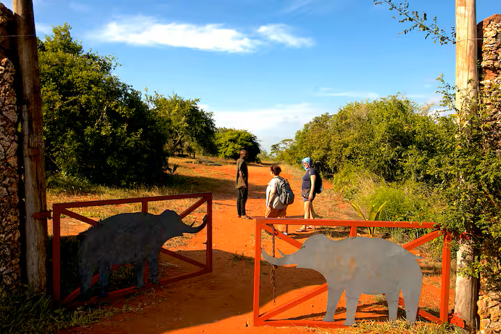 shimba hills